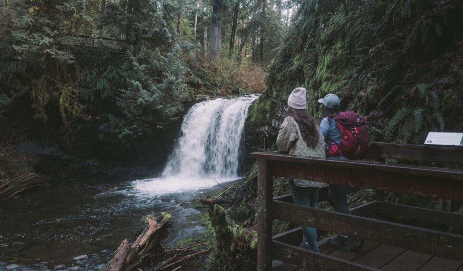 Cowichan Valley Guest Cottage Ladysmith Bagian luar foto