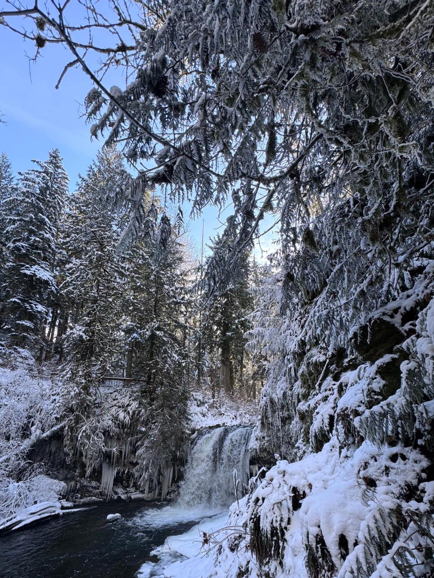 Cowichan Valley Guest Cottage Ladysmith Bagian luar foto